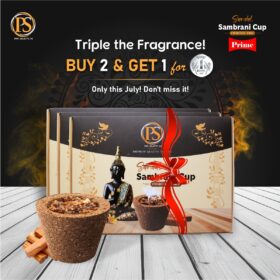 PSP Prime Sandal Cup Sambrani